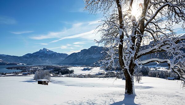 Blick ins verschneite Mondseeland mit Schafberg und Drachenwand, Mondsee, Salzkammergut, Oberösterreich, Österreich, Europa