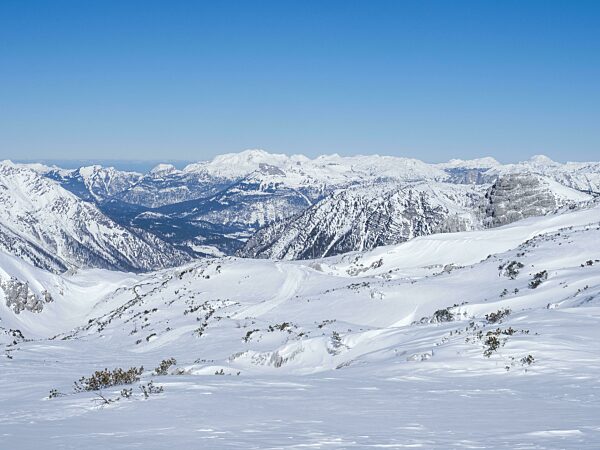 Blauer Himmel über Winterlandschaft, Aussicht vom Krippenstein auf verschneite Berggipfel, und Gletscher, Salzkammergut, Oberösterreich, Österreich, Europa