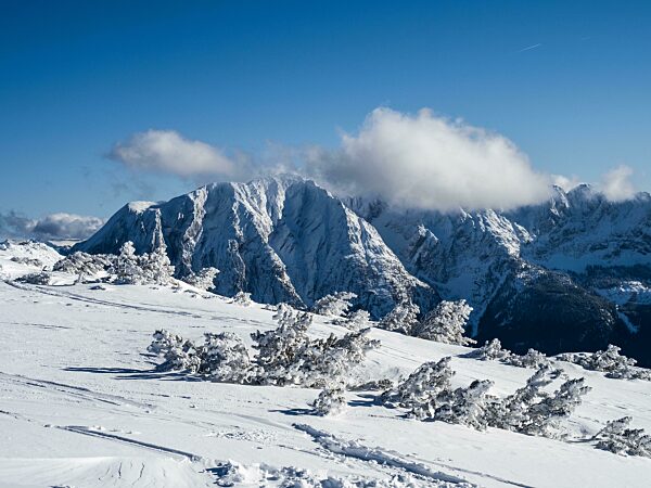 Blauer Himmel über Winterlandschaft, schneebedeckte Gipfel vom Grimming Massiv, Ausblick vom Lawinenstein, Tauplitzalm, Steiermark, Österreich, Europa