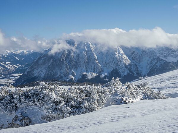 Blauer Himmel über Winterlandschaft, schneebedeckte Gipfel vom Grimming Massiv, Ausblick vom Lawinenstein, Tauplitzalm, Steiermark, Österreich, Europa