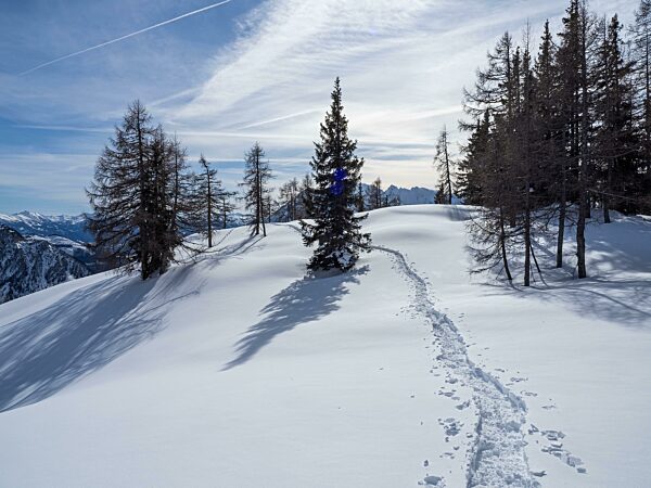 Spuren von Schneeschuhen in Winterlandschaft, verschneite Berggipfel, karge Bäume, Tauplitzalm, Steiermark, Österreich, Europa