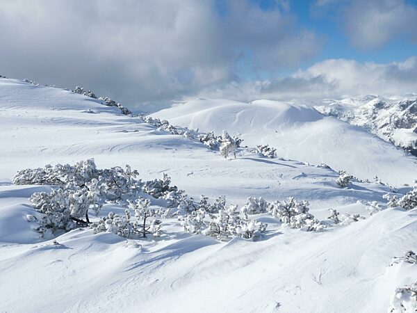 Winterlandschaft, verschneite Berggipfel, Hochplateau am Lawinenstein, Tauplitzalm, Steiermark, Österreich, Europa
