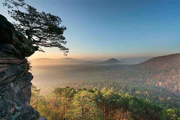 Pfälzer Wald, Morgenstimmung, Nebel, Rötzenfels, Pfalz, Rheinland-Pfalz, Deutschland, Europa