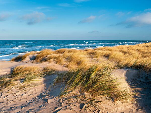 Stürmische Ostsee im Winter, Dünen mit Strandhafer, Halbinsel Fischland-Darß-Zingst, Nationalpark Vorpommersche Boddenlandschaft, Mecklenburg-Vorpommern, Deutschland, Europa
