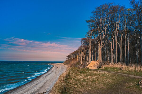Gespensterwald mit Steilküste, Strand und der Ostsee im Frühling bei Sonnenuntergang, Ostseebad Nienhagen, Mecklenburg-Vorpommern, Deutschland, Europa