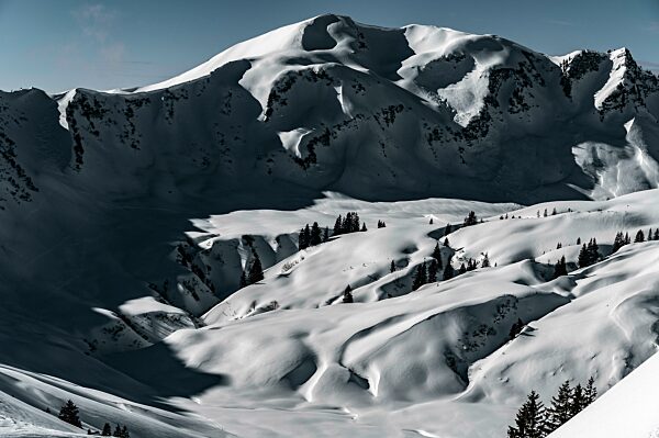 Winterlicher Gipfel des Falzer Kopfes, Scharzwassertal, Ritzlern, Kleinwalsertal, Vorarlberg, Österreich, Europa