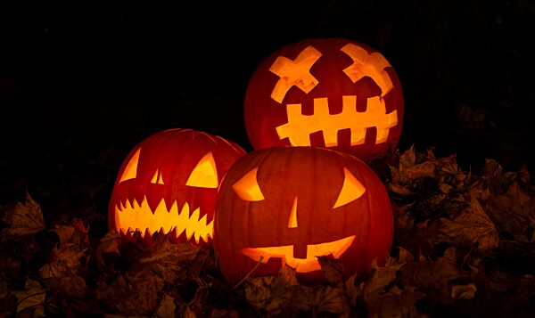 Leuchtende Kürbisse in der Nacht, Kürbisgesicht, Geschnitzte Kürbisse, Fratze, Halloween, dunkler Hintergrund