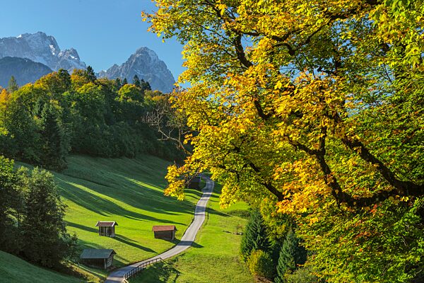 Landschaft bei Wamberg gegen Zugspitze (2962m), Garmisch-Partenkirchen, Oberbayern, Bayern, Deutschland, Garmisch-Partenkirchen, Bayern, Deutschland, Europa