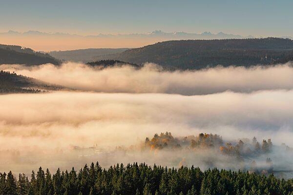 Blick über den Schluchsee zu den Schweizer Alpen, Schwarzwald, Baden- Württemberg, Deutschland, Schluchsee, Schwarzwald, Baden-Württemberg, Deutschland, Europa