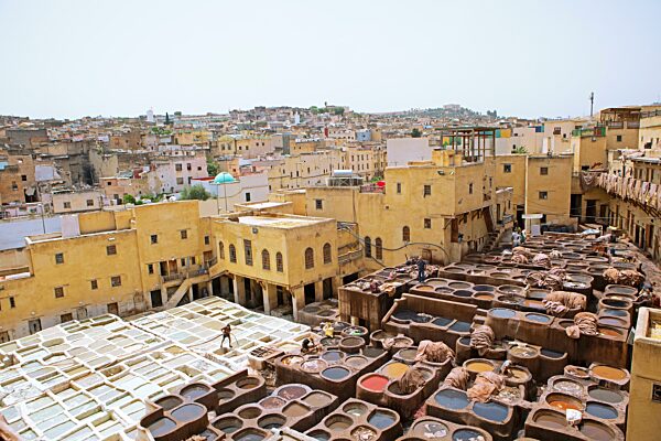 Arbeiter beim Färben von Leder, Becken mit Farbe, Färberei, Gerberei Tannerie Chouara, Gerber- und Färberviertel, Fés el Bali, Fez, Königreich Marokko