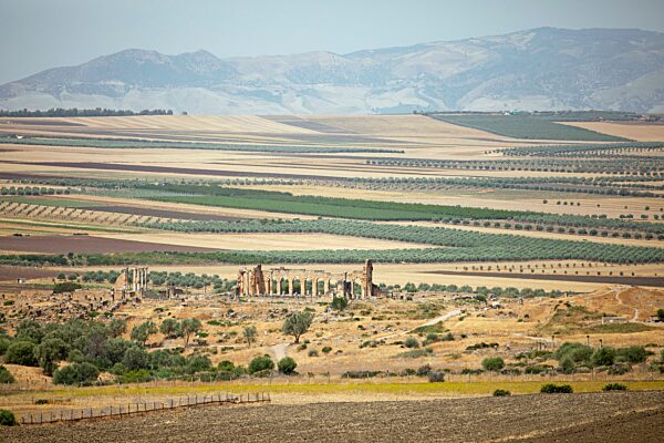 Archäologische Stätte, hinten die Basilika, Volubilis, UNESCO Weltkulturerbe, bei Meknes, Marokko, Afrika