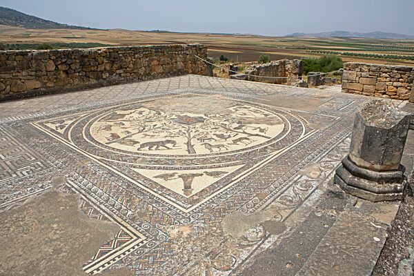 Römisches Mosaik, archäologische Stätte, Volubilis, UNESCO Weltkulturerbe, bei Meknes, Marokko, Afrika