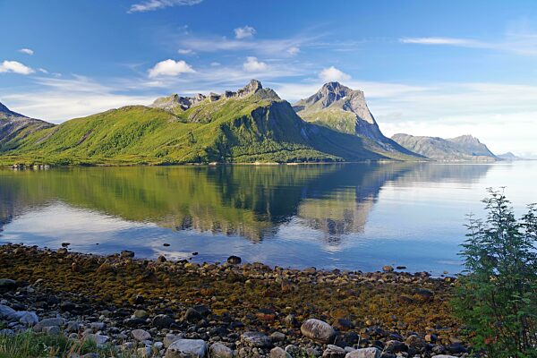 Steile Berge spiegeln sich im Meer, Fjord, Ufer, Kystriksveien, FV 17, Helgeland, Nordland, Norwegen, Europa