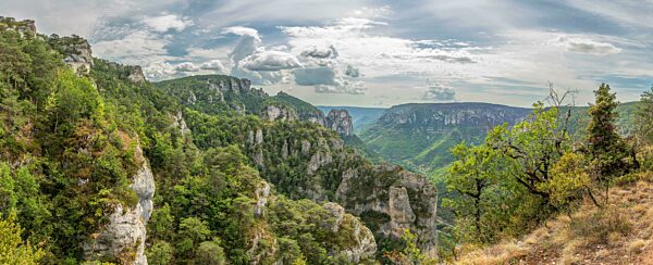 Gorges of Tarn gesehen vom Wanderweg auf den Felsvorsprüngen des Causse Mejean oberhalb der Tarnschlucht. Panorama. La bourgarie, Lozere, Frankreich, Europa