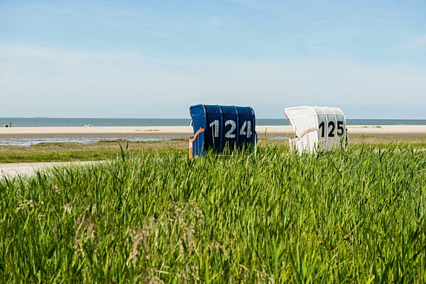 Strandkörbe am Sandstrand, Hooksiel, Wangerland, Ostfriesland, Niedersachsen, Deutschland, Europa