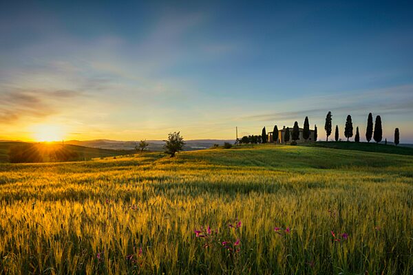 Bauernhaus und Zypressen, Sonnenaufgang, Pienza, Val d' Orcia, Orcia-Tal, UNESCO-Weltkulturerbe, Provinz Siena, Toskana, Italien, Europa