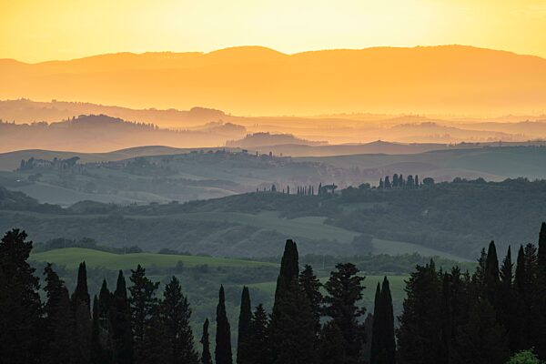 Hügelige Landschaft der Crete Senesi bei Abendlicht, Chiusure, Asciano, Provinz Siena, Toskana, Italien, Europa