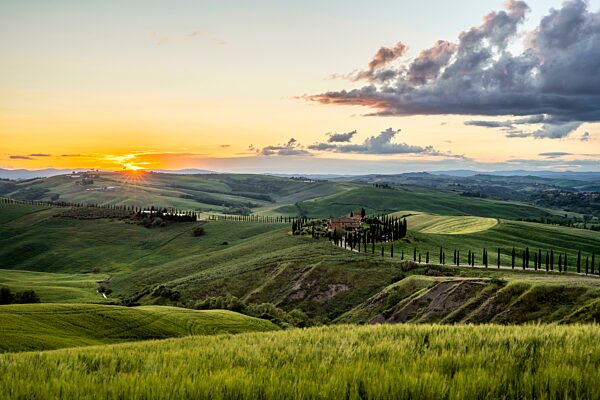 Landgut Agriturismo Baccoleno mit Zypressenallee (Cupressus) bei Sonnenuntergang, Asciano, Crete Senesi, Siena, Toskana, Italien, Europa