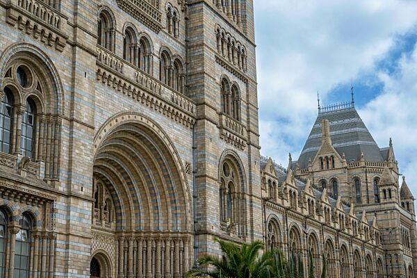 Natural History Museum oder Naturhistorisches Museum, Kensington, London, England, Großbritannien, Europa