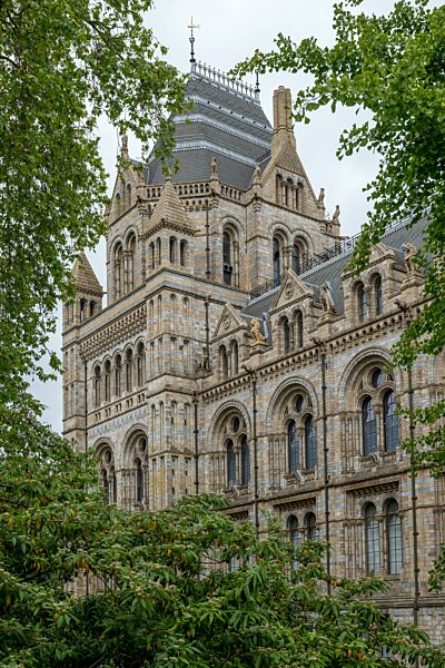 Natural History Museum oder Naturhistorisches Museum, Kensington, London, England, Großbritannien, Europa