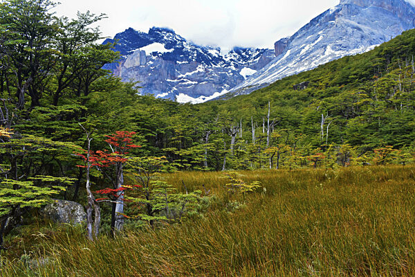 Torres del Paine Nationalpark, Chile, Südamerika