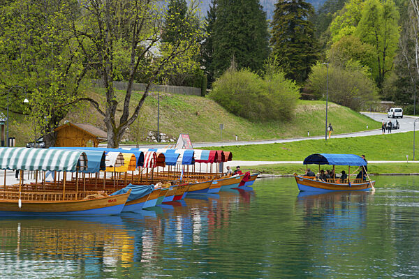 Bunte Boote sind ordentlich am Ufer eines Sees festgemacht...