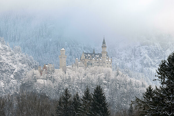 Mystisches Schloss in winterlicher Umgebung...