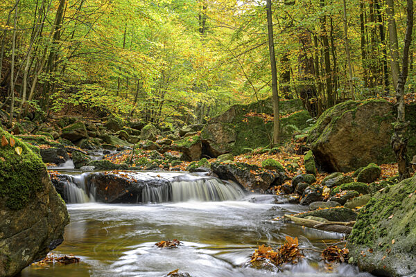 Der Fluss Ilse fließt durch einen herbstlichen Wald...