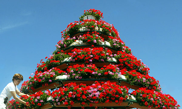 Gartenbau in Genthin