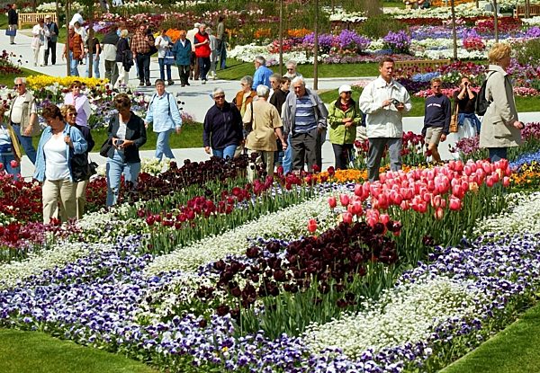 Blühende Beete auf der IGA 2003 in Rostock