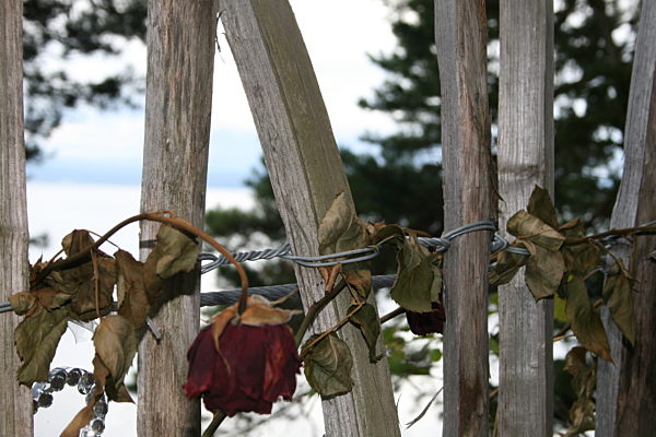 Fünf Jahre nach Utoya