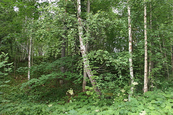 Fünf Jahre nach Utoya