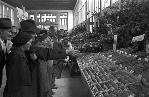 Nachkriegszeit - Grüne Woche 1948