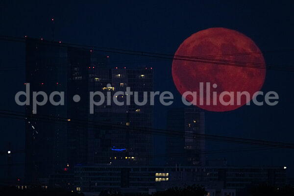 Vollmond (09.08.2025)