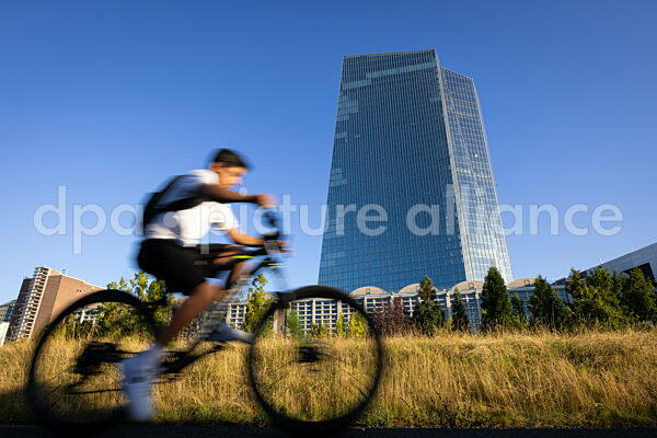 Die Europäische Zentralbank (EZB) in Frankfurt (18.08.2025)