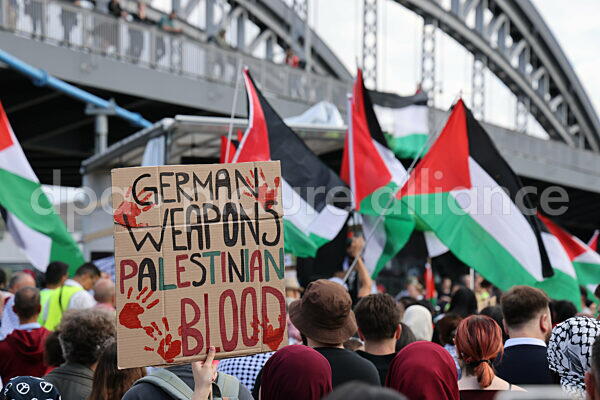 Pro-Palästina Kundgebung in Frankfurt (30.08.2025)