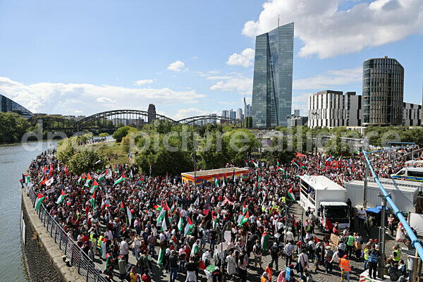 Pro-Palästina Kundgebung in Frankfurt (30.08.2025)
