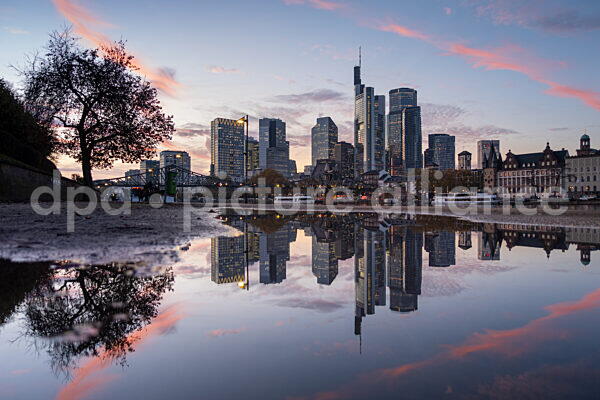 Die Frankfurter Skyline am Abend (06.11.2025)