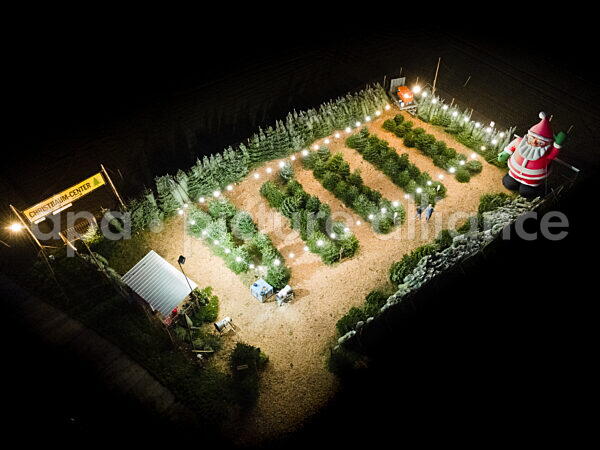 Weihnachtszeit - Christbaum-Verkauf (10.12.2025)