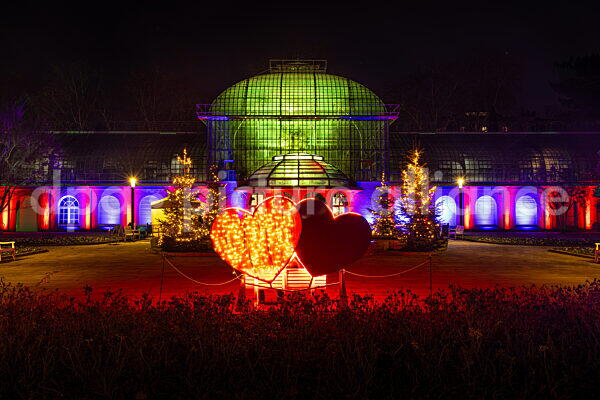 Winterlichter im Palmengarten Frankfurt (18.12.2025)