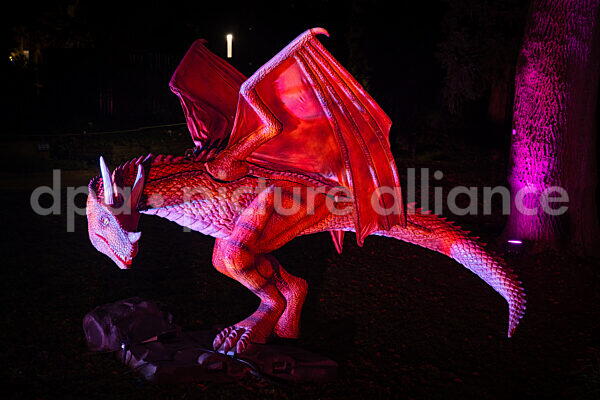 Winterlichter im Palmengarten Frankfurt (18.12.2025)