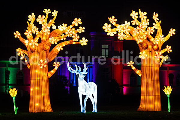 Winterlichter im Palmengarten Frankfurt (18.12.2025)